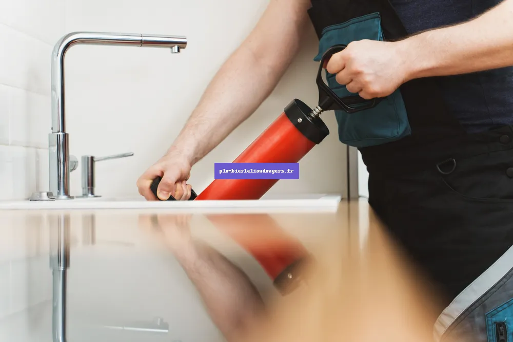 Plombier Le Lion-d'Angers 49220