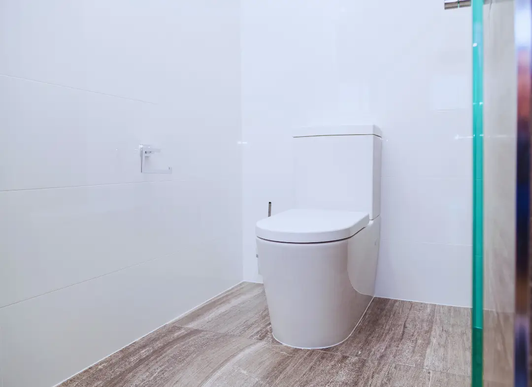 Remplacement de wc Le Lion-d'Angers