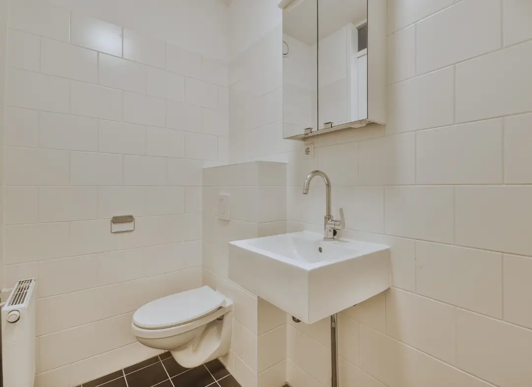 Pose WC Suspendu Le Lion-d'Angers